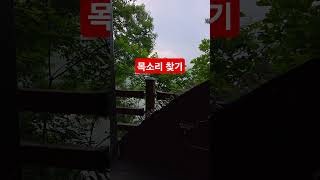 목소리 찾기 – 금모래마당에서 가까운 금평저수지 아래, 모 #모악산에코라운드 #목소리찾기 #금모래마당근처 #자연속치유 #닭지봉쉼터 #전북가볼만한곳 #에코힐링