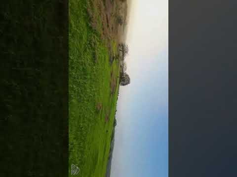 هنا ظفار جنة على الأرض ظفار بلا صيف