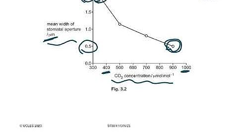 9700/W23/41 VIDEO 2 Q3 Q4 Q5 EXPLAINED