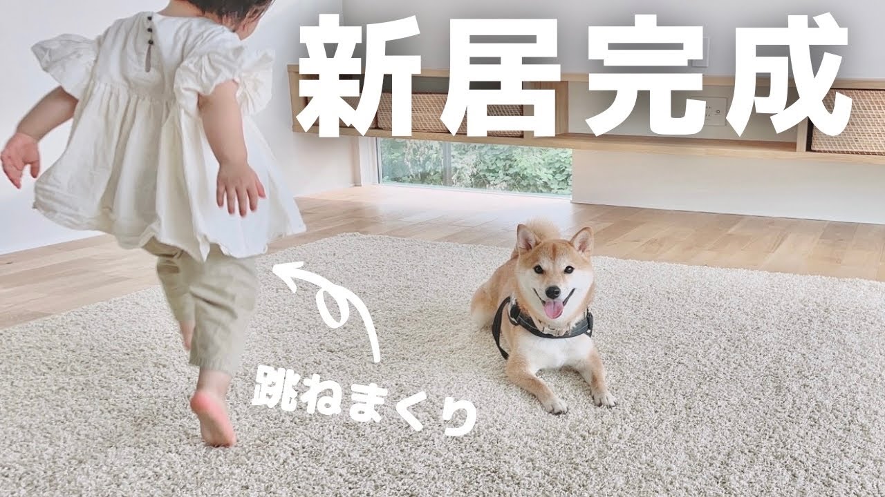 完成 新居に愛犬と娘をはじめて連れて行ってみた Youtube