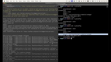 Git Credential Helpers for Seamless Private Module Access