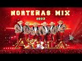 Los Avila Mix 2023 - Las Norteñas Más Chingonas del 2023 - Cumbias Norteñas Para Bailar 2023