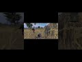 #kill me and my teammates with hacker