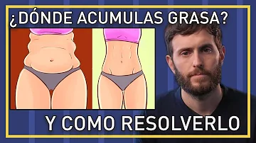 ¿Qué tipo de cuerpo almacena grasa abdominal?