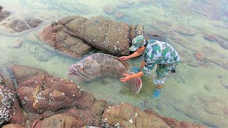 深海猛货意外受伤上岸避难不料却被阿明逮个正着这漏捡大了