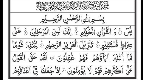Surah Yaseen(سورة ياسين)🕋❤ |Ep-165+By sheihk Zubair bin yaqoob
