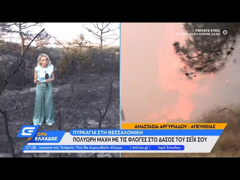 Φωτιά στο Σέιχ Σου: Στάχτη 90 στρέμματα δασικής έκτασης | Ώρα Ελλάδος 14/7/2021 | OPEN TV
