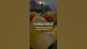 ﴿وَالَّذِينَ هُمْ عَلَىٰ صَلَاتِهِمْ يُحَافِظُونَ🥺🎧|| تلاوة رائعة بصوت القارئ إسلام صبحي