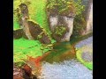 Clams casino, Rainforest EP (all tracks) - YouTube