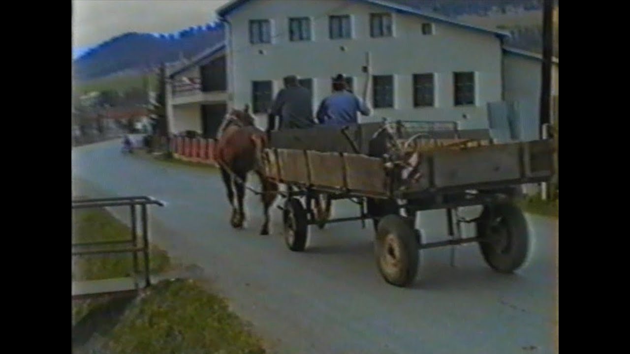 Ovčie 1998