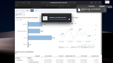 SAC Export to Excel & Numbers