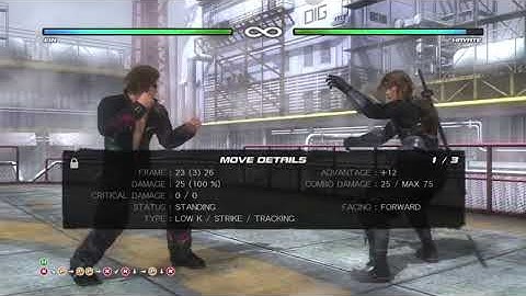 DOA5LR Ein 1K Force tech setups