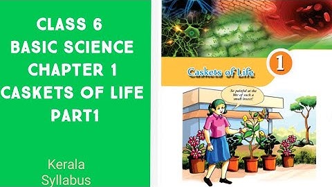 #Class 6 # SCIENCE# Chapter 1 / Casket of life/ part 1/ scert Kerala syllabus