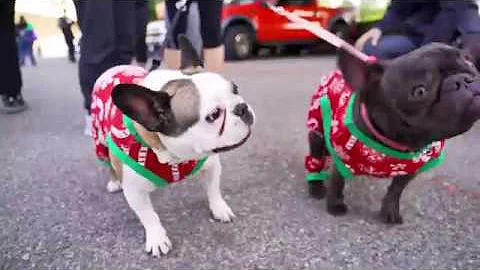 2017 5K Reindeer Run & Rudolph's Dash