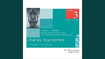 Office No. 35 - Assomption: 3. Elévation