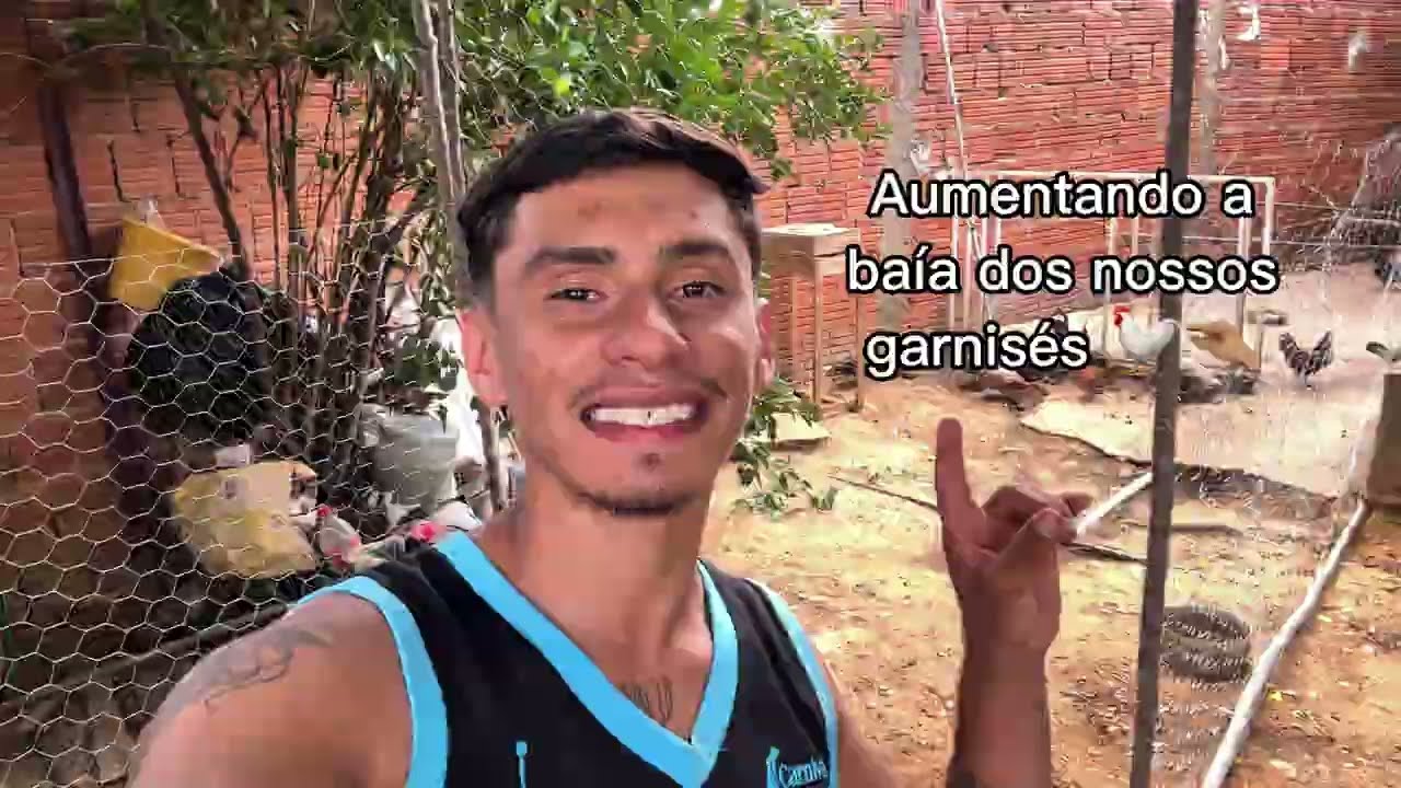 Melhorando o espaço dos nossos garnisés | Criação de galinhas ornamentais | Vida na roça