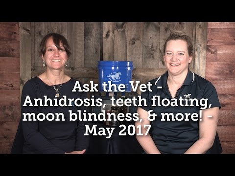 Ask the Vet - Anhidrosis, teeth floating, moon blindness, and more! - May 2017