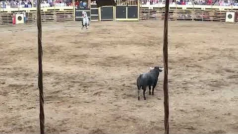 Guillermo Hermoso de Mendoza en el Duelo de rejone...