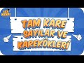 TAM KARE SAYILAR VE KAREKÖKLERİ | LGS Matematik #2022