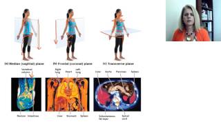 5 Anatomical Position and Body Planes