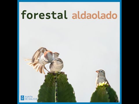 María Lado lanza "Forestal", novo disco con Aldaolado