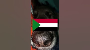 Guess the flag #14 #shorts