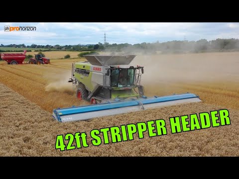 CLAAS 8800 Lexion Shelbourne Reynolds 42ft Stripper Header Harvest 2021