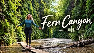 FERN CANYON HIKE 🌿 EXPLORING REDWOOD NATIONAL PARK