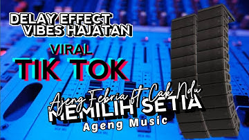 MEMILIH SETIA - AJENG FEBRIA FT. CAK NDU - AGENG MUSIC - DELAY EFFECT VIBES HAJATAN