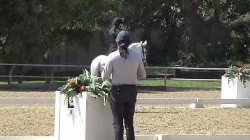 USDF 2023 Training Level Test 3