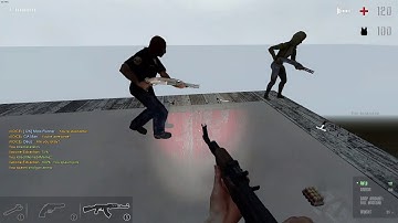 Zombie Panic! Source Pro Gameplay Lake Sorrows [EU Perksmod]