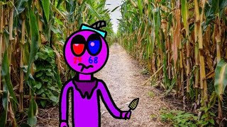 Bishop’s Pumpkin Farm Corn Maze (Part 2)