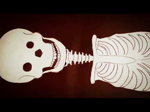 skeleton project for kids