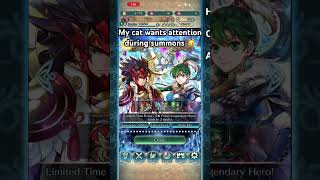 My Cat APPEARS! #fireemblemheroes #feh #fireemblem #nintendo #gaming