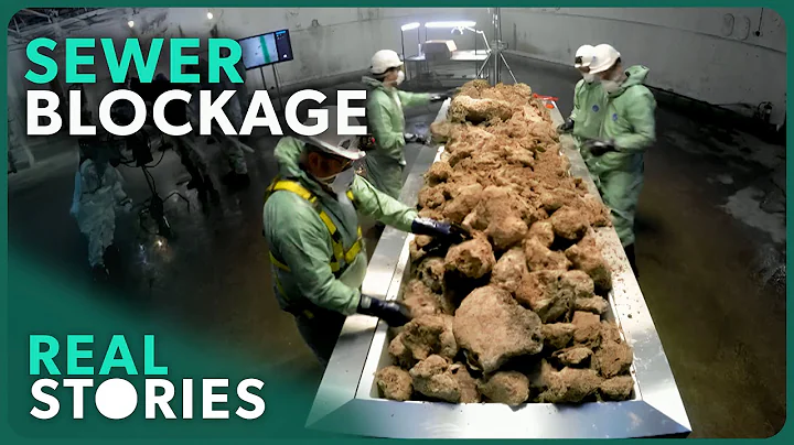 Megacities' Grossest Problem? Inside The Fatberg Conundrum