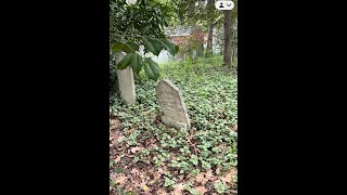 The forgotten cemetery of Ocean Pines, MD