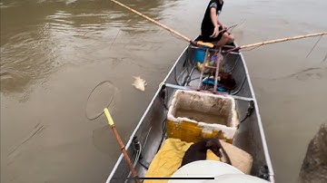 Kéo cáp thực tế bắt cá chép cụ ở độ sâu.0985802199