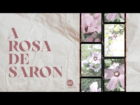 Celebração de Domingo, Rosa de Saron - NAIC Peniche (Elvira Vicente)