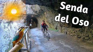 SENDA DEL OSO (en Bici): Senderismo en Asturias (4K) 🟢 GUÍA DE VIAJE 📌 Ruta y Consejos | España