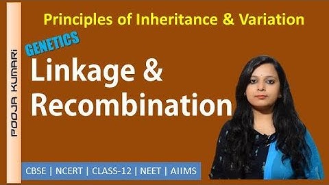 Linkage and Recombination | Class-12 Biology | Genetics |  CBSE NCERT | NEET | Hindi | Dr. Pooja K.