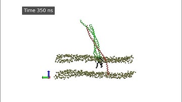Syntaxin 1A transmembrane domain palmitoylation induces a fusogenic conformation