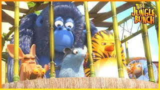 Possum Recall | Jungle Bunch | 45' Compilation | Cartoon For Kids