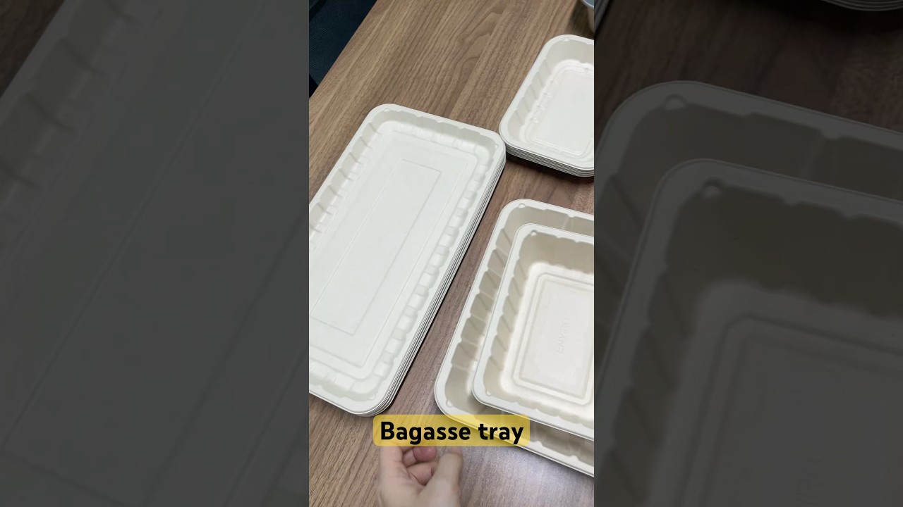100 Pack Plate Disposable, Compostable Divided Disposable Dinner Plates, Paper Tray for Food