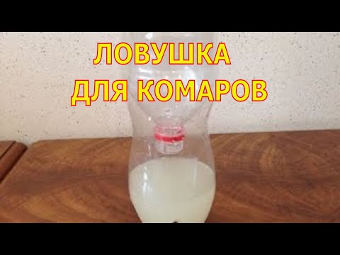 Видео: Как менять самолеты для стыковки рейсов (с изображениями)