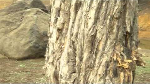 C:\Documents and Settings\Administrator\桌面\KK\GG.mpg