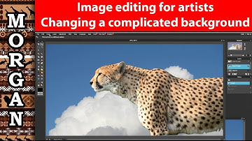 image editing for artists, changing the background - Jason Morgan wildlife art