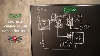 EVAP  что это, как работает, почему нельзя отключать