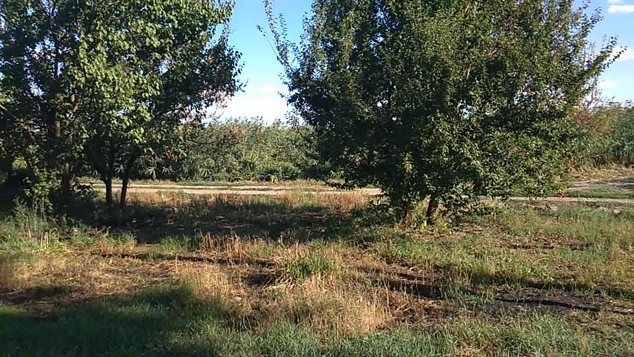 Село Первомайское Краснодарский край Успенский район.