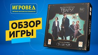 Фантастические твари. Обзор настольной игры от Игроведа