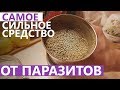 САМОЕ СИЛЬНОЕ СРЕДСТВО ОТ ПАРАЗИТОВ (ГЛИСТОВ)